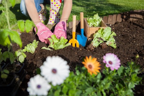 Soil management and fertilization practices