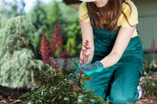 Hardscaping elements in a garden