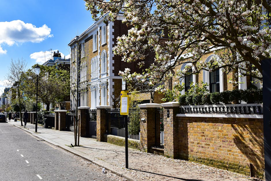 A narrow garden pathway with large, rectangular stone paving slabs, bordered by neatly trimmed hedge plants with dense, bright green foliage on the right side. The pathway extends toward a white wall 