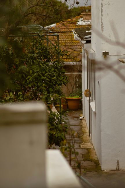 A narrow courtyard garden situated between tall, historic stone buildings with multiple white-framed sash windows. The garden features a reflective water feature or pool along the base of the building